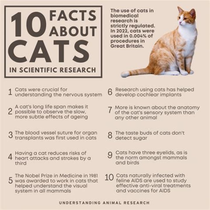 10 Facts On The Actor