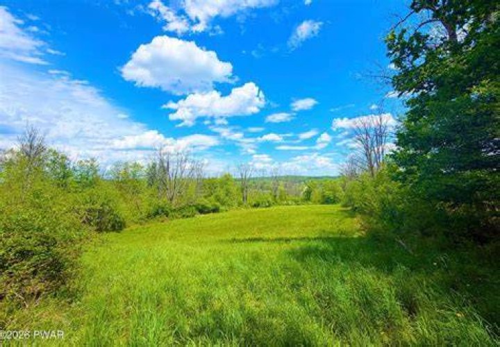 17 Acres, 1551 Old Columbia Road, Burkesville, KY 42717 Land and Farm