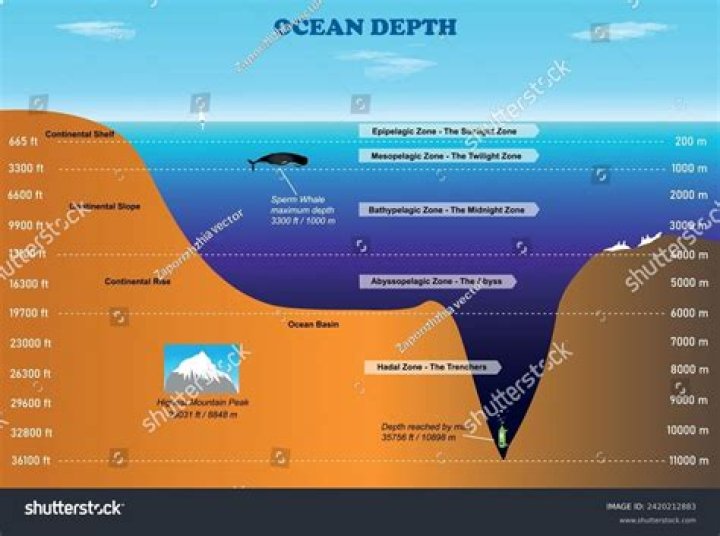 A Discovery Of Depth And Nuance