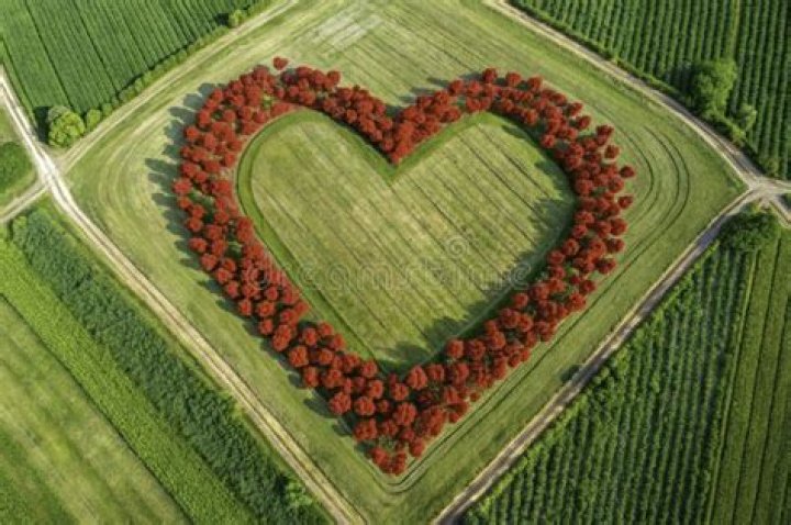 A Journey Into Nature's Heart