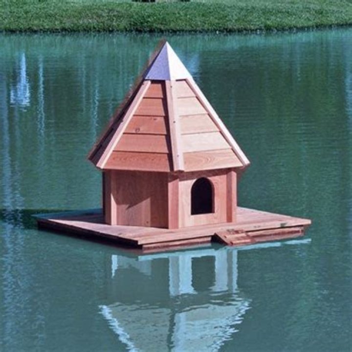 Aqua Duck Floating Bird House Yard Envy Duck house, Bird house