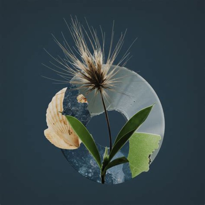 Art, Activism, And Sustainable Expression
