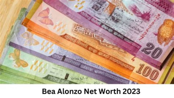 Bea Alonzo Net Worth 2024
