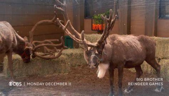 Big Brother Reindeer Games CBS Announces New Series Will Air in
