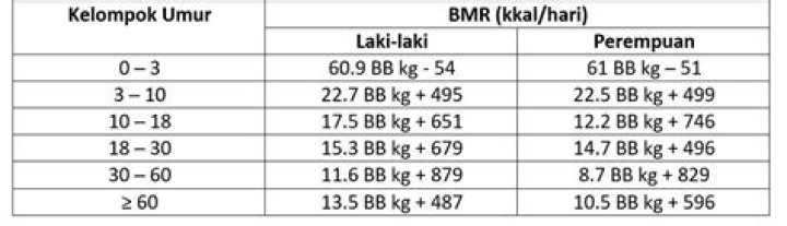 Biografi, Usia, Tinggi Badan, Dan Karier