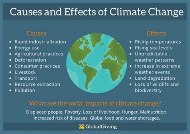 Causes, Effects, and Solutions ·
