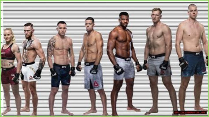 Conor McGregor Height How Tall Is the UFC Fighter?