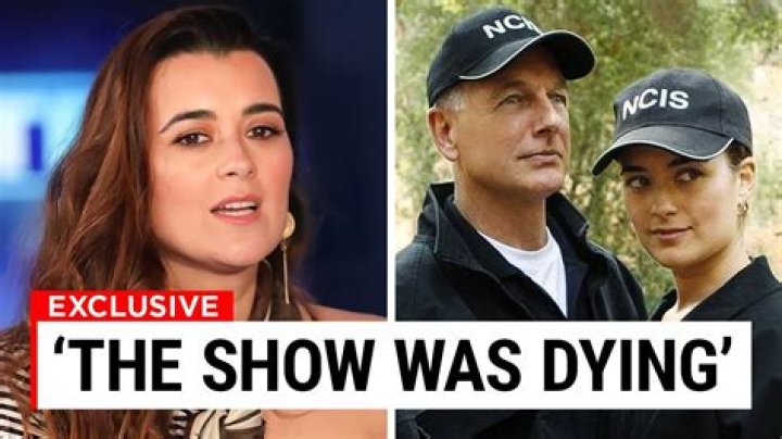 Cote De Pablo's Unforgettable Wardrobe Malfunction