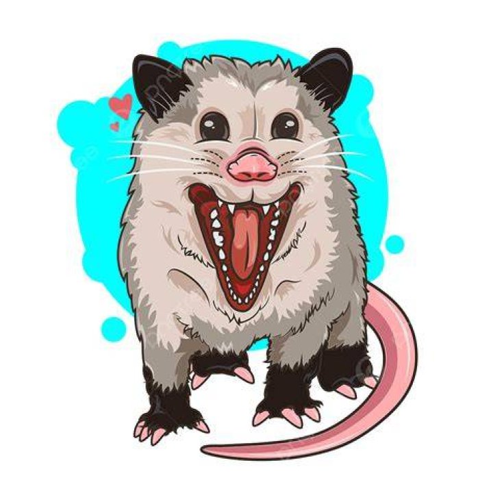 Cute Possum Clipart Transparent Background, Cute Possum Cartoon With