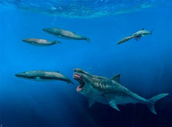 Did NASA Find A Frozen Megalodon?