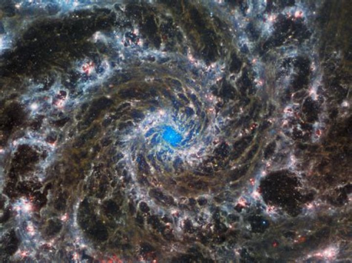 Discoveries And Insights At 20 In 2023