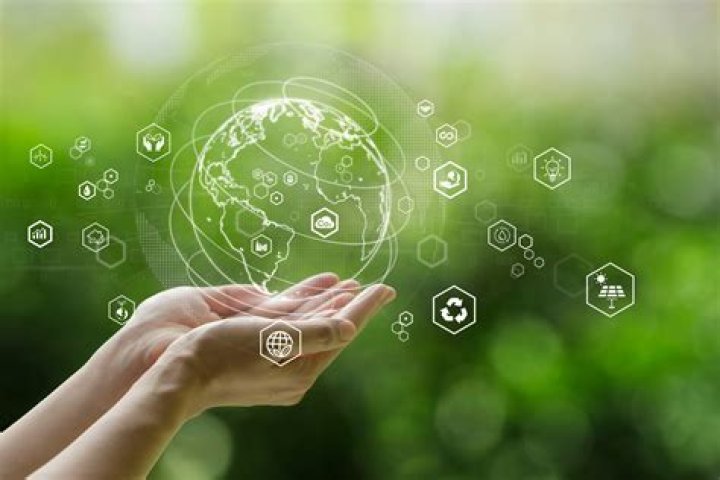 Discoveries And Insights Into A Legacy Of Sustainability And Impact