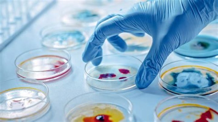 Discoveries And Insights That Reshaped Microbiology