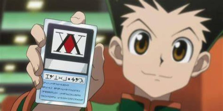 Does Gon Ever Regain His Hunter's License?