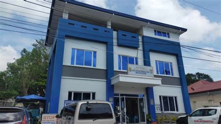 Gapu iti ipapatayna ket ti pannakayalison ti bara |