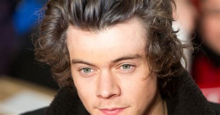 Harry Styles Online Death Threat and One Directions Cult of Mr. X