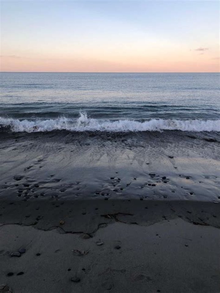 Hot Dogs or Legs? This Tumblr Will Make You Question Every Beach Photo in Your Instagram Feed