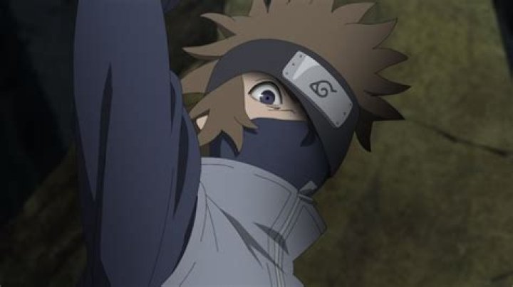 Houki Taketori Parents Kakashi Hatake And Hanare Taketori Family Ethnicity