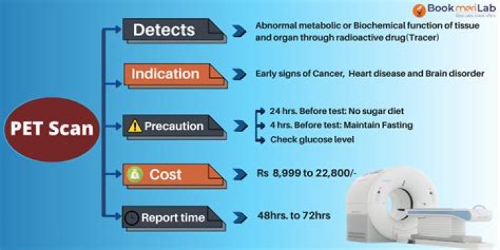 How Much Does a Dog CT Scan Cost?