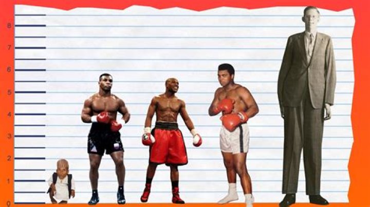 How Tall is Mike Tyson?