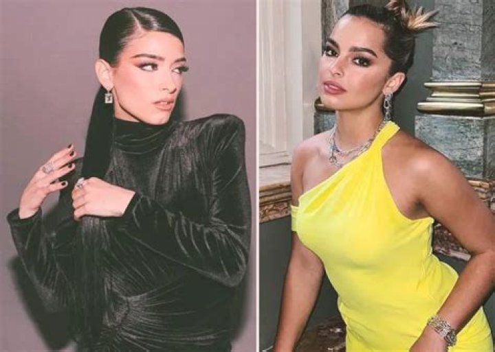 Is Dixie DAmelio Connected To Addison Raes Leaked Song DAmelio Denies The Fact ·