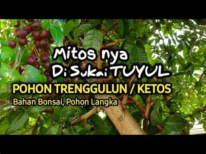 Janji Penemuan Dan Wawasan Baru