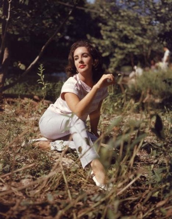 Liz Taylor Net Worth 2024 |