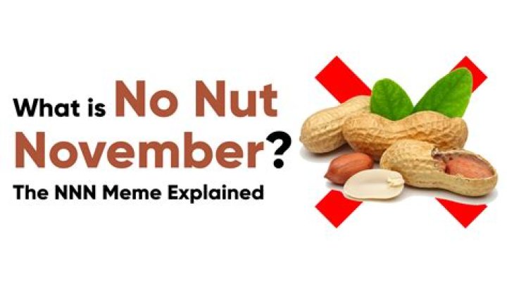 Meana Wolf No Nut November: Tips, Benefits, And Challenges