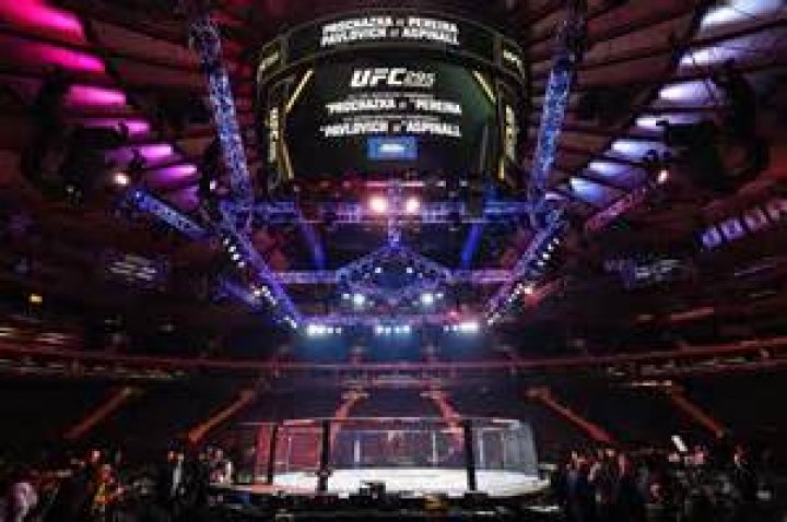 Meet The Trailblazing Daughter Of The UFC's Powerhouse