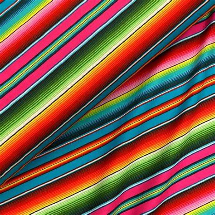 Mexican Fabric by The Yard, Colorful Nature Inspired Pattern Birds