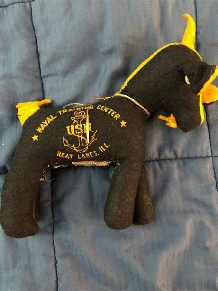 Stuffed Navy Mascot
