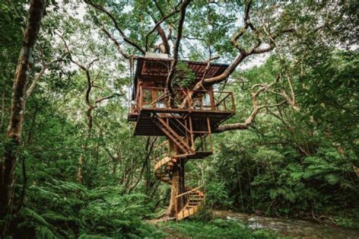 The Enchanting Haven Treehouses Through Captivating Photos