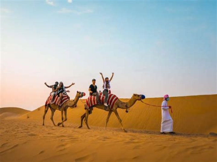 The Evolution of Desert Safaris: From Tradition to Modernity