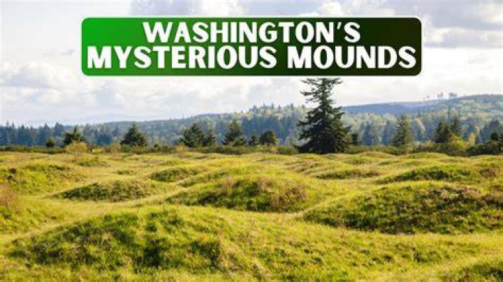 These Mysterious Mounds in South America Are Made of Worm Poop