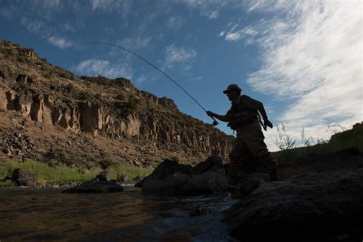Uncover Argentina's Sporting Legacy: Discoveries And Insights Await