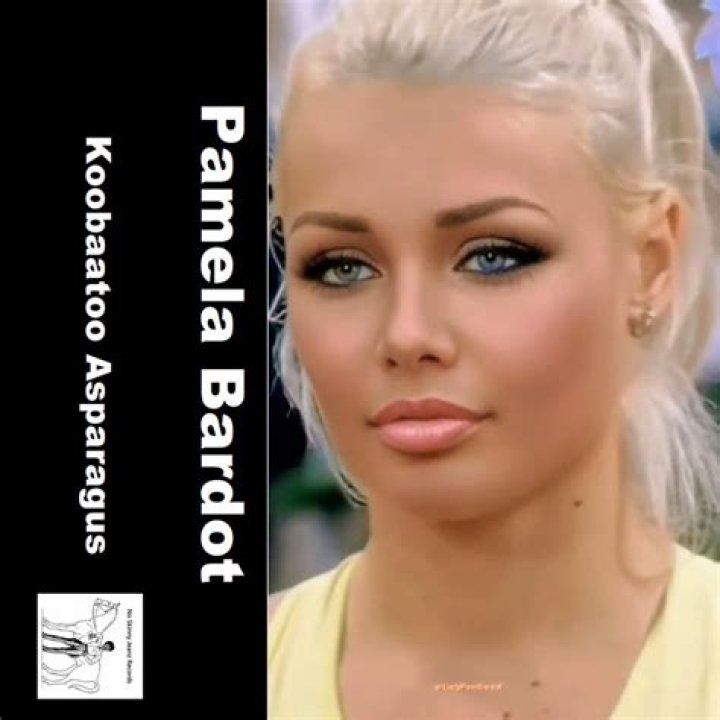 Uncover The Enigmatic Pamela Bardot: A Wikipedia Deep Dive