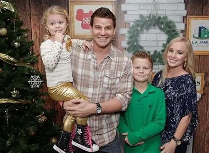 Uncover The Untold Secrets Behind David Boreanaz: Age, Wife, And More