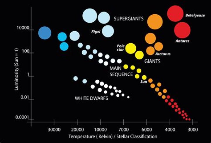 Uncovering The Age Of A Talented Writer