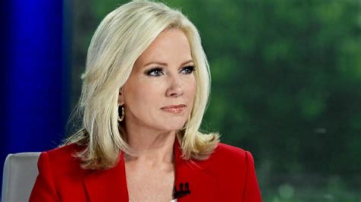 Uncovering The World Of Shannon Bream's Children: Exclusive Insights