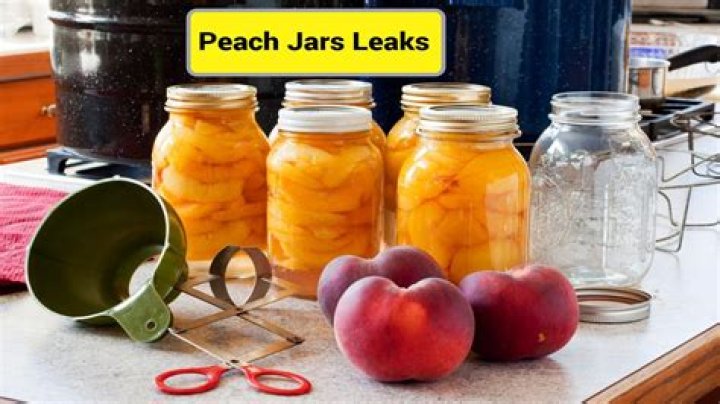 Unveiled: The Peach Jars OnlyFans Leaks