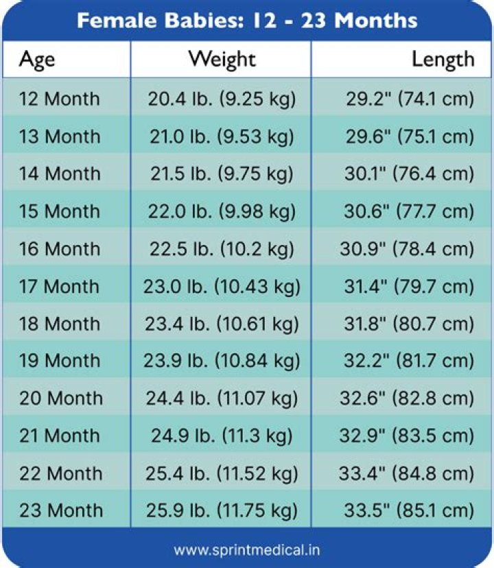 Unveiling Net Worth, Wiki, Age, And Height