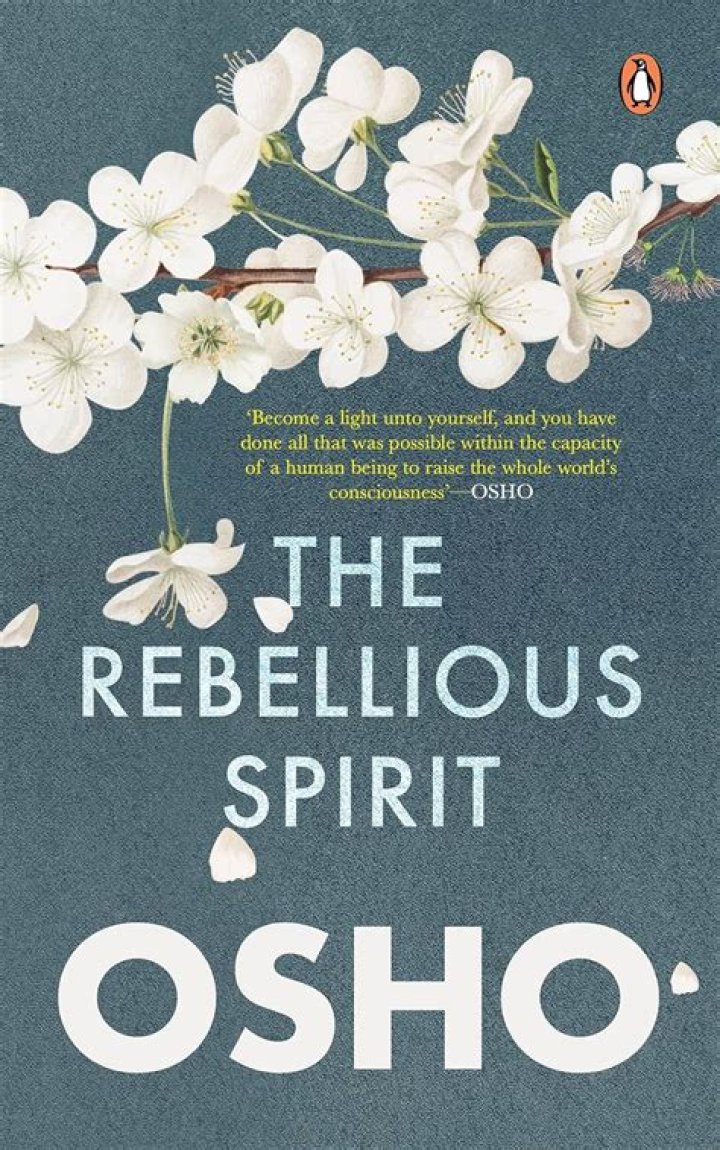 Unveiling The Rebellious Spirit: Discover The 