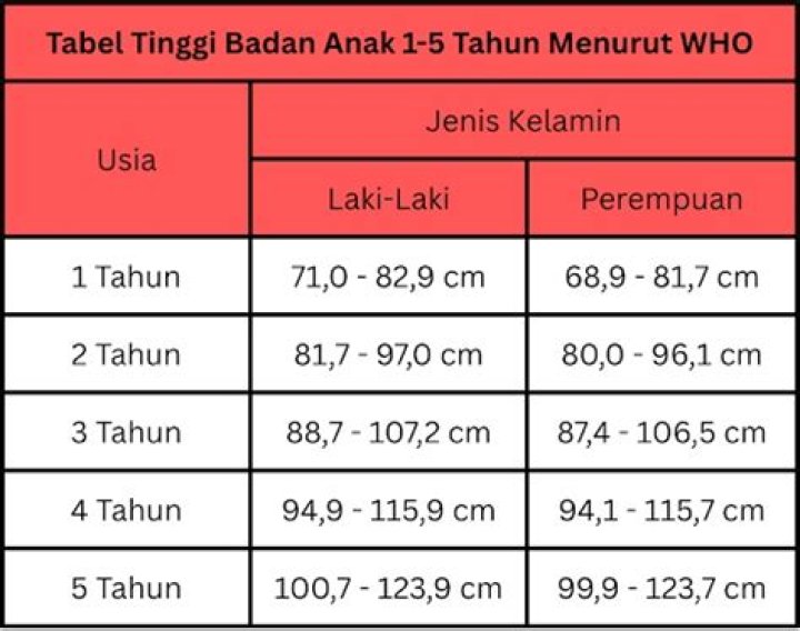 Usia, Tinggi, Pacar, Dan Kejutan Lainnya!