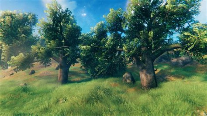 Valheim: How to Farm Trees