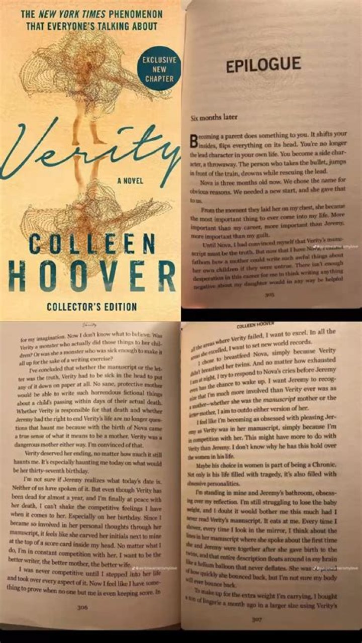 Verity Colleen Hoover Extra Chapter