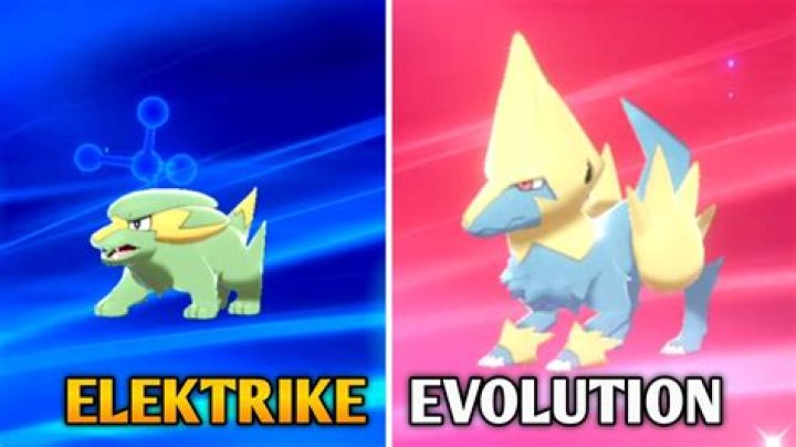 What animal is Electrike? ·