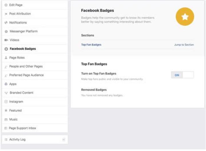 What Are All the Facebook Badges – A Full List ·