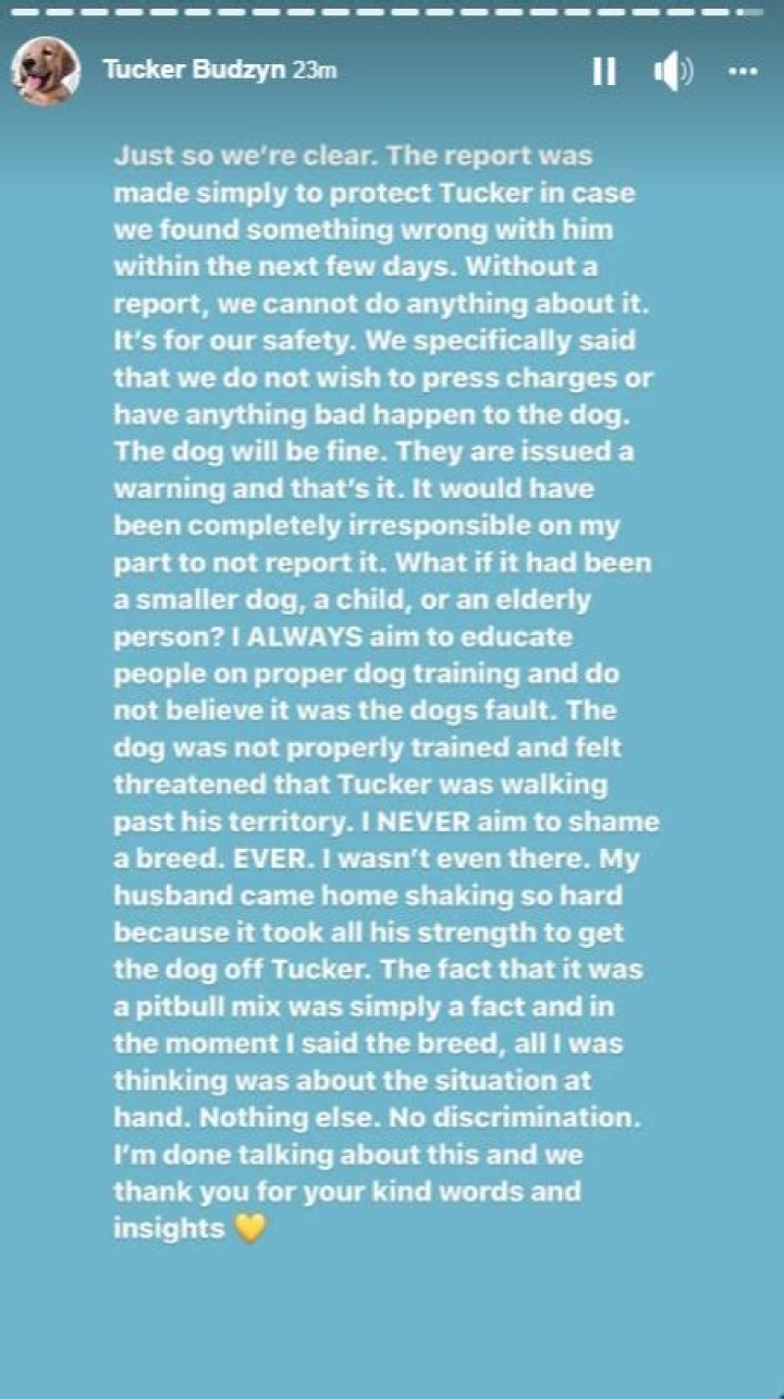 What Happened to Tucker Budzyn? Why His Owner Filed a Police Report |