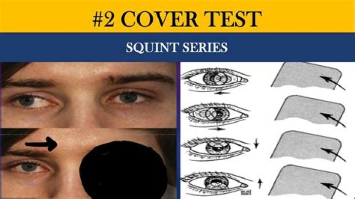 Where Do They Go? Uncover Surprising Insights!