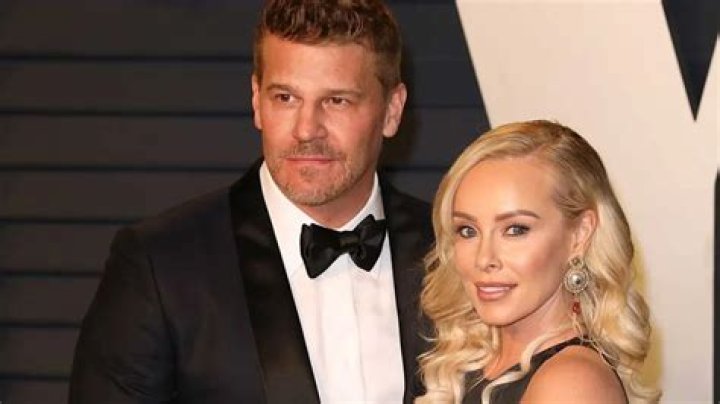 Who Is Ingrid Quinn? David Boreanaz Ex-Wife ·